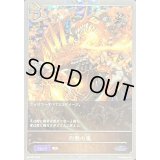 〔状態B〕灼熱の嵐【PR】{PR-057}