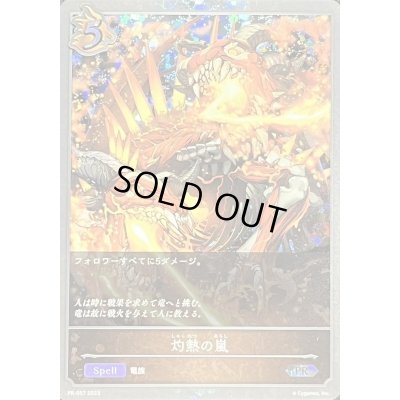 画像1: 〔状態B〕灼熱の嵐【PR】{PR-057}