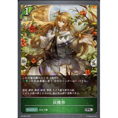画像1: 〔状態A-〕収穫祭【PR】{PR-065}