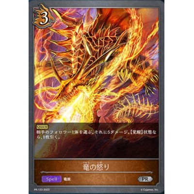 画像1: 〔状態A-〕竜の怒り【PR】{PR-123}