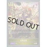 〔状態B〕疾風怒涛【PR】{PR-120}