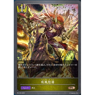 画像1: 〔状態A-〕疾風怒涛【PR】{PR-120}