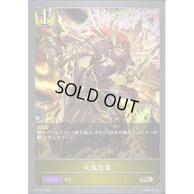 画像1: 〔状態B〕疾風怒涛【PR】{PR-120}