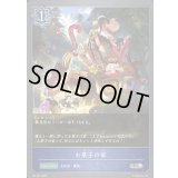 〔状態A-〕お菓子の家【PR】{PR-121}