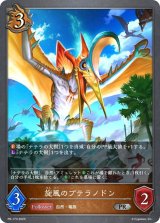 〔状態A-〕旋風のプテラノドン【PR】{PR-173}