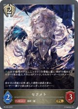 〔状態A-〕セクメト【PR】{PR-204}