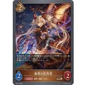 侮蔑の狂信者【PR】{PR-202}