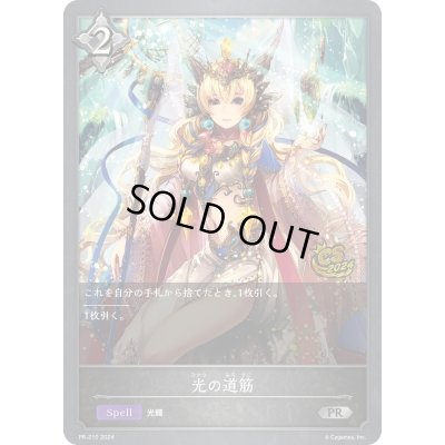 画像1: 〔状態B〕光の道筋(CS)【PR】{PR-210}