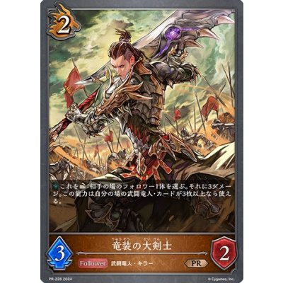 〔状態A-〕竜装の大剣士【PR】{PR-228}