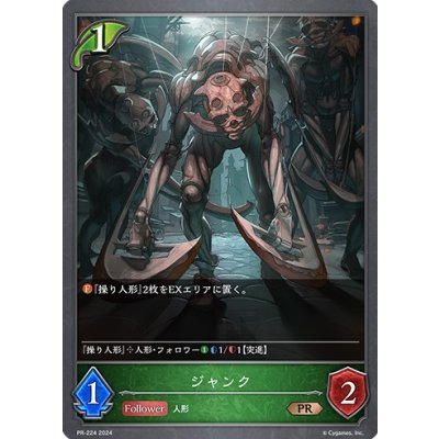 〔状態A-〕ジャンク【PR】{PR-224}