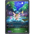 〔状態B〕自然の導き(QUALIFIER)【PR】{PR-223}