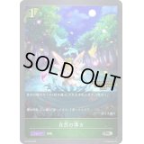 〔状態B〕自然の導き(QUALIFIER)【PR】{PR-223}