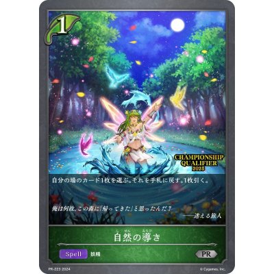画像1: 〔状態A-〕自然の導き(QUALIFIER)【PR】{PR-223}