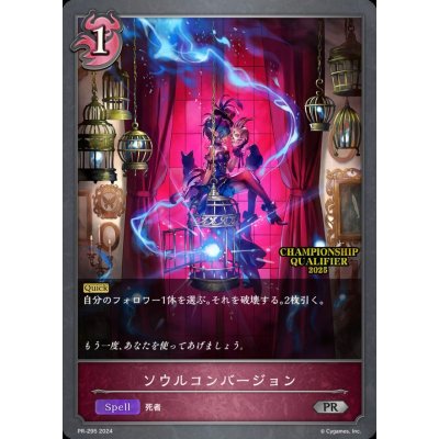 画像1: ソウルコンバージョン【PR】{PR-295}