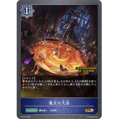 画像1: 魔女の大釜(QUALIFIER)【PR】{PR-341}
