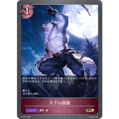 画像1: 月下の跳躍【PR】{PR-374}