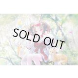 サプライセット『九火石炎・セッカ(JapanChampionship2025)』【サプライ】{-}