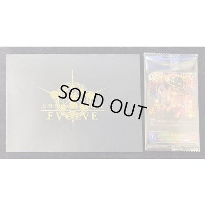 画像1: 〔状態A-〕プリンセスウィッチ・メルヴィ(未開封/イラスト違い/封筒付/JCS)【PR】{PR-384}