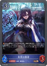真実の隠者【PR】{PR-390}