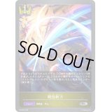 戦技斬刀【PR】{PR-389}