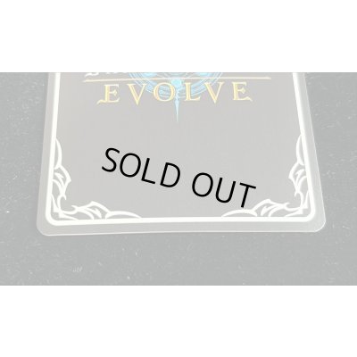 画像7: 絶叫の沈黙・ルルナイ(シリアル)【ANV】{SNC03-003}