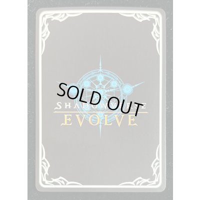 画像5: 絶叫の沈黙・ルルナイ(シリアル)【ANV】{SNC03-003}