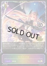 〔状態A-〕堕落の決意(イラスト違い)【PR】{PR-433}