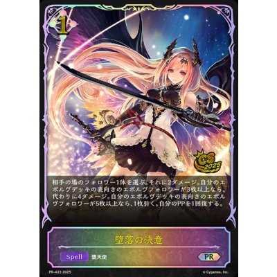 画像1: 堕落の決意(イラスト違い)【PR】{PR-433}