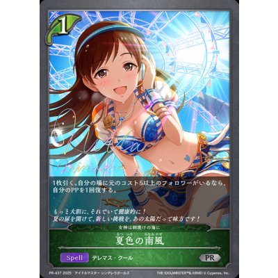 画像1: 夏色の南風【PR】{PR-437}