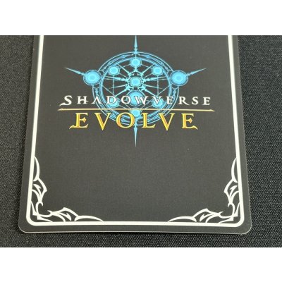 画像7: 〔状態A-〕ファントムデュオ・バニー＆バロン(イラスト違い/GP)【PR】{PR-322}