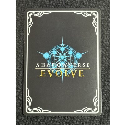 画像3: 〔状態A-〕ファントムデュオ・バニー＆バロン(イラスト違い/GP)【PR】{PR-322}