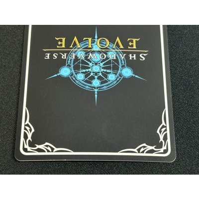 画像6: 〔状態A-〕ファントムデュオ・バニー＆バロン(イラスト違い/GP)【PR】{PR-322}