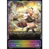 美麗なる術式(SL仕様)【PR】{PR-468}