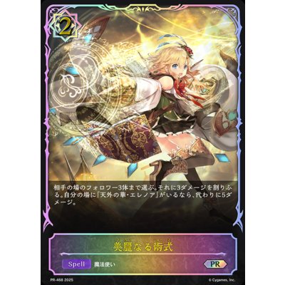 画像1: 美麗なる術式(SL仕様)【PR】{PR-468}