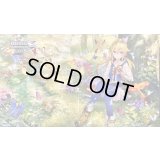 プレイマット『雄大なる教え(BCS25/26)』【サプライ】{-}《-》