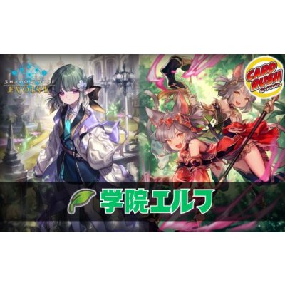 画像1: 学院エルフデッキ【ver1.0】{-}《-》