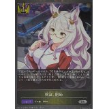 〔状態B〕検証、開始【SR・プレミアム】{CP01-P15}