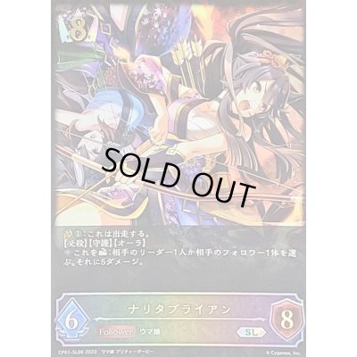 画像1: 〔状態B〕ナリタブライアン【SL】{CP01-SL06}