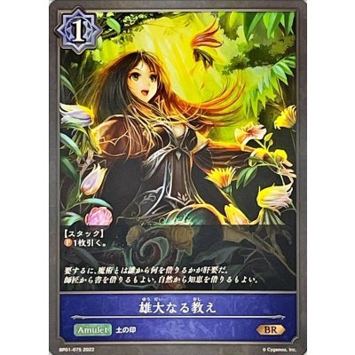 〔状態A-〕雄大なる教え【BR】{BP01-075}《ウィッチ》