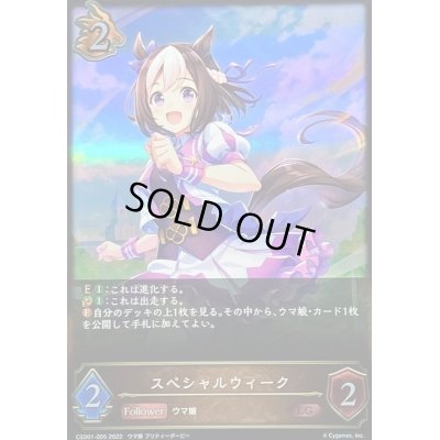 画像1: 〔状態B〕スペシャルウィーク【LG】{CSD01-005}