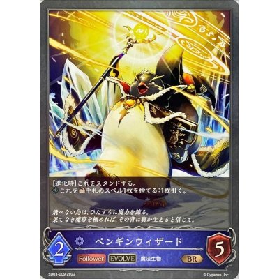 画像1: 〔状態A-〕ペンギンウィザード(EVOLVE)【BR】{SD03-009}