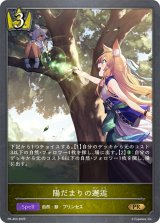 〔状態A-〕陽だまりの邂逅【PR】{PR-453}《ロイヤル》