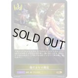 陽だまりの邂逅【PR】{PR-453}