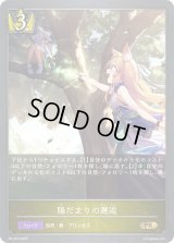 陽だまりの邂逅【PR】{PR-453}