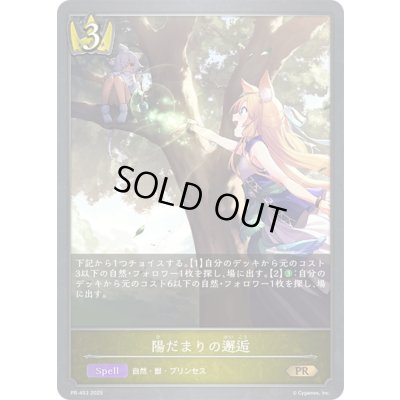 画像1: 陽だまりの邂逅【PR】{PR-453}