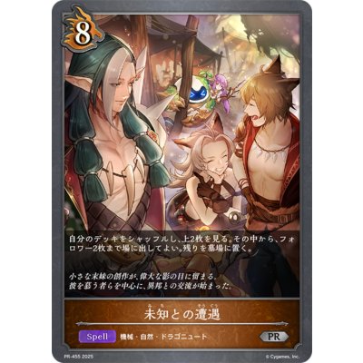 画像1: 未知との遭遇【PR】{PR-455}