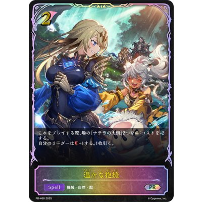 画像1: 温かな抱擁(イラスト違い)【PR】{PR-460}