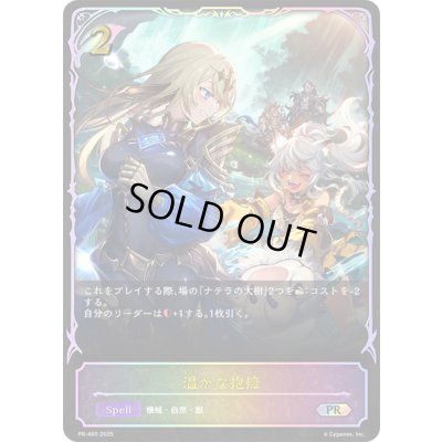 画像1: 〔状態A-〕温かな抱擁(イラスト違い)【PR】{PR-460}