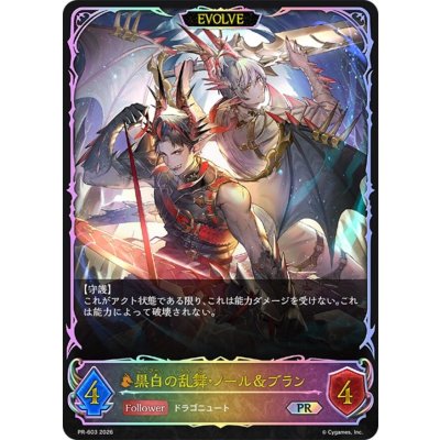 画像1: 黒白の乱舞・ノール＆ブラン(EVOLVE/SL仕様)【PR】{PR-603}《ドラゴン》