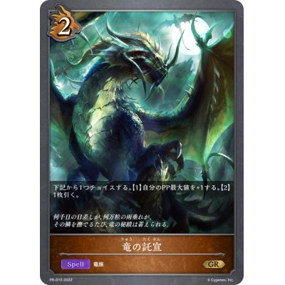 画像1: 〔状態B〕竜の託宣【PR】{PR-010}